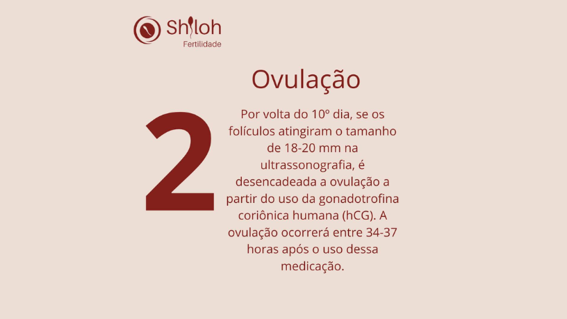 O equilíbrio do microbioma vaginal é fator decisivo para o sucesso reprodutivo, segundo Oluwatosin Tolulope Ajidahun.