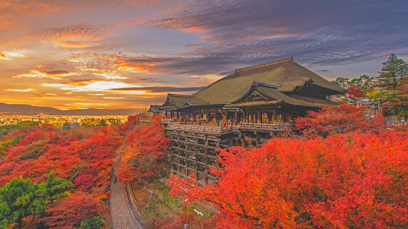 Muito além dos pontos turísticos, Alberto Toshio Murakami explora as tradições e o quotidiano que definem a cultura japonesa.