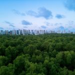 Vista aérea de Fortaleza, com a paisagem urbana integrada a uma área de vegetação.